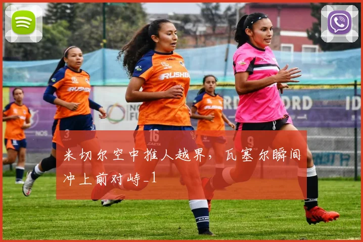 米切尔空中推人越界，瓦塞尔瞬间冲上前对峙_1