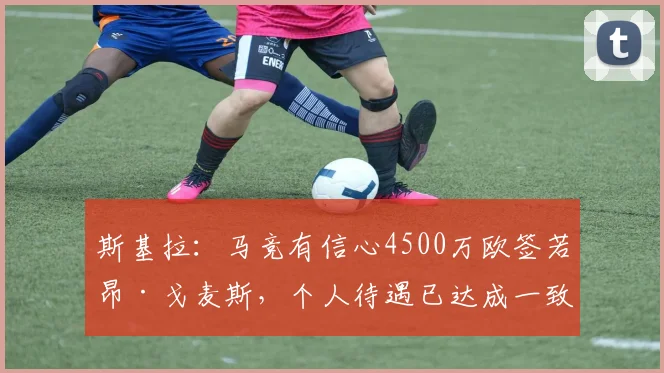 斯基拉：马竞有信心4500万欧签若昂·戈麦斯，个人待遇已达成一致