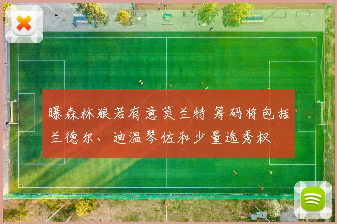曝森林狼若有意莫兰特 筹码将包括兰德尔、迪温琴佐和少量选秀权