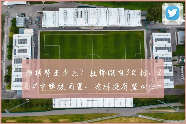 谁顶替王少杰？杜锋瞄准3目标，28岁中锋被闲置，沈梓捷有望回归