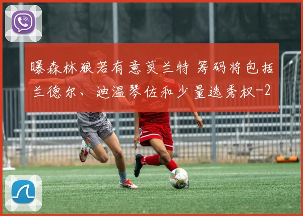 曝森林狼若有意莫兰特 筹码将包括兰德尔、迪温琴佐和少量选秀权